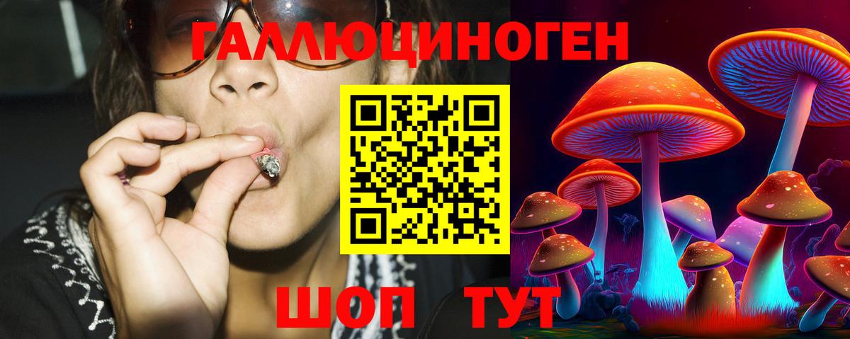 Алапаевск  Псилоцибиновые грибы прущие грибы  Вход с VPN 