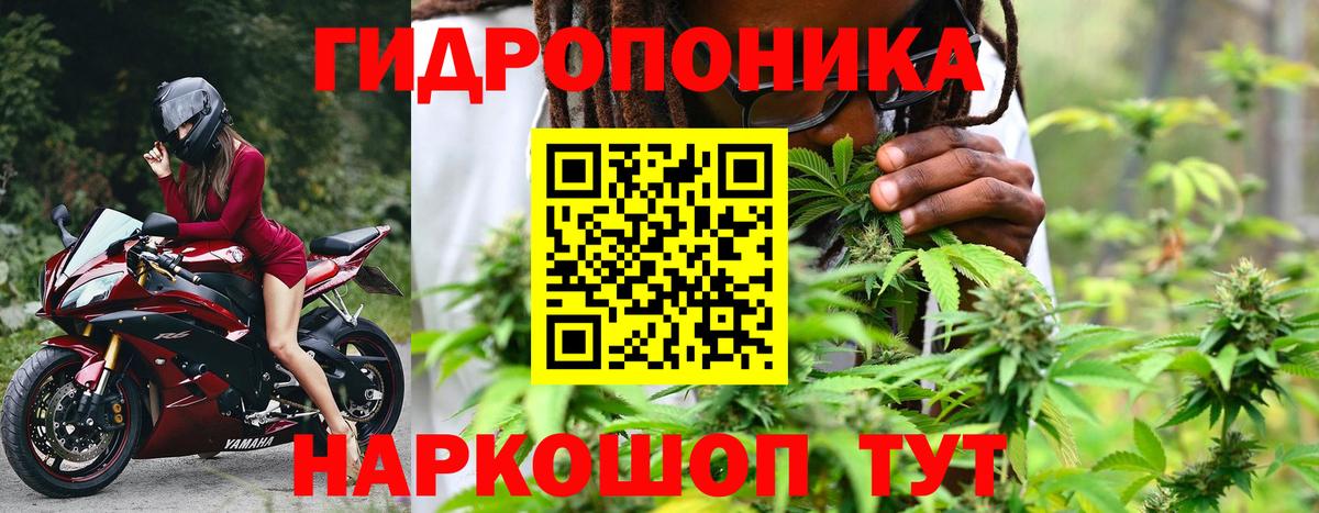 Шишки марихуана Bruce Banner  Бошки марихуана THC 21%  Вход с VPN  Алапаевск 